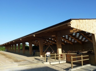 maneges des ecuries